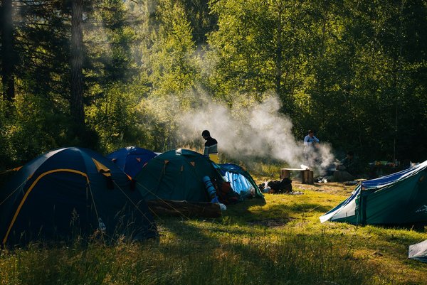 Quels sont les conseils pour un camping en région de forêt de bouleaux?